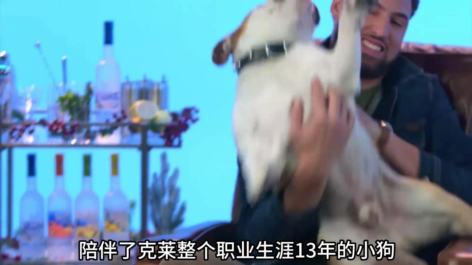 陪伴克萊13年的小狗去世了，不敢相信克萊得多么傷心